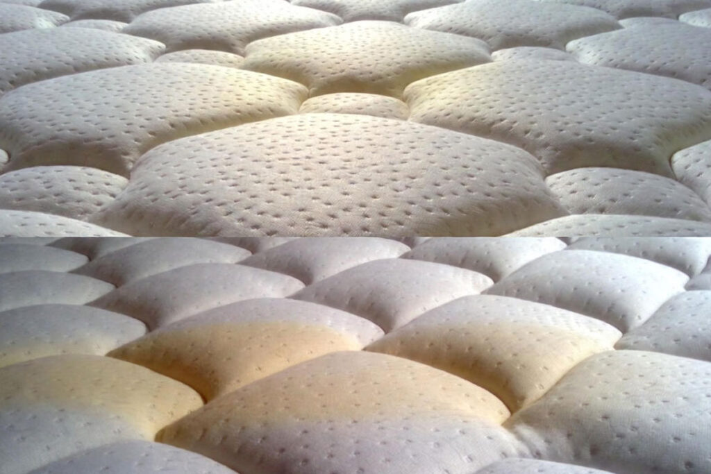  عمر مفید تشک وگال