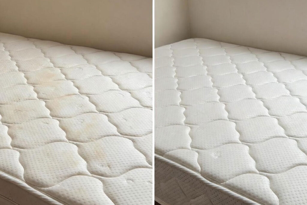 اسپری تمیزکننده لکه تشک