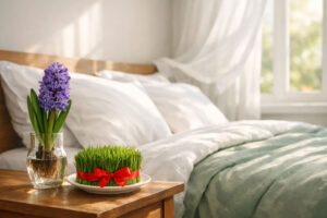 خانه تکانی و تعویض تشک