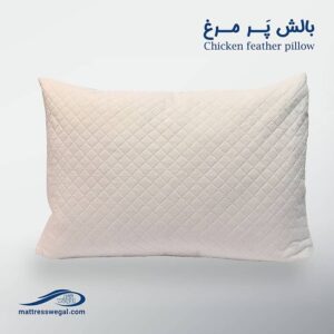 بالش پرمیس ( پر مرغ ) وگال
